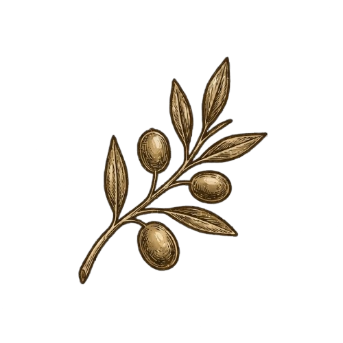 Olive Oil